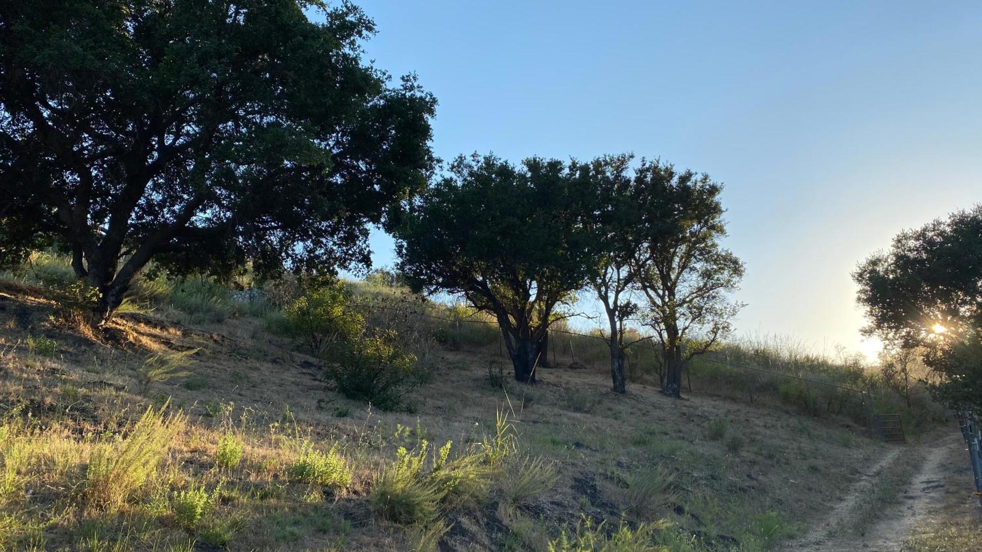 Malibu Ranch Guest House Hideway Esterno foto